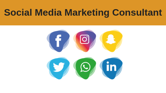 Social Media Marketing Consultant Course